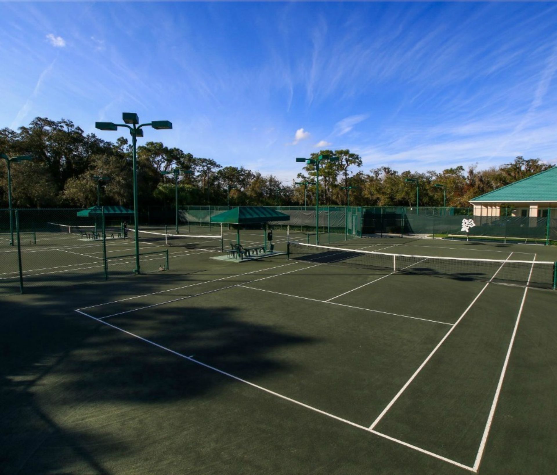 Tennis-Closeup